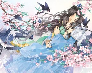 深入了解 暗网永久破解版